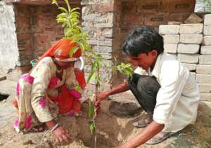 Adopt a Tree; Protect Environment & Earth !!