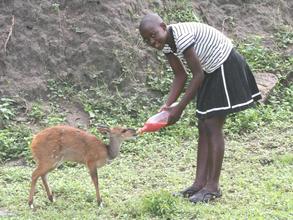 Desiree Kgothatso with baby bushbuck