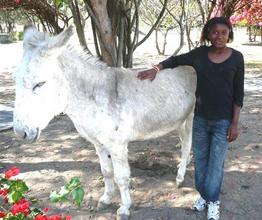 Sibongile and our blind donkey
