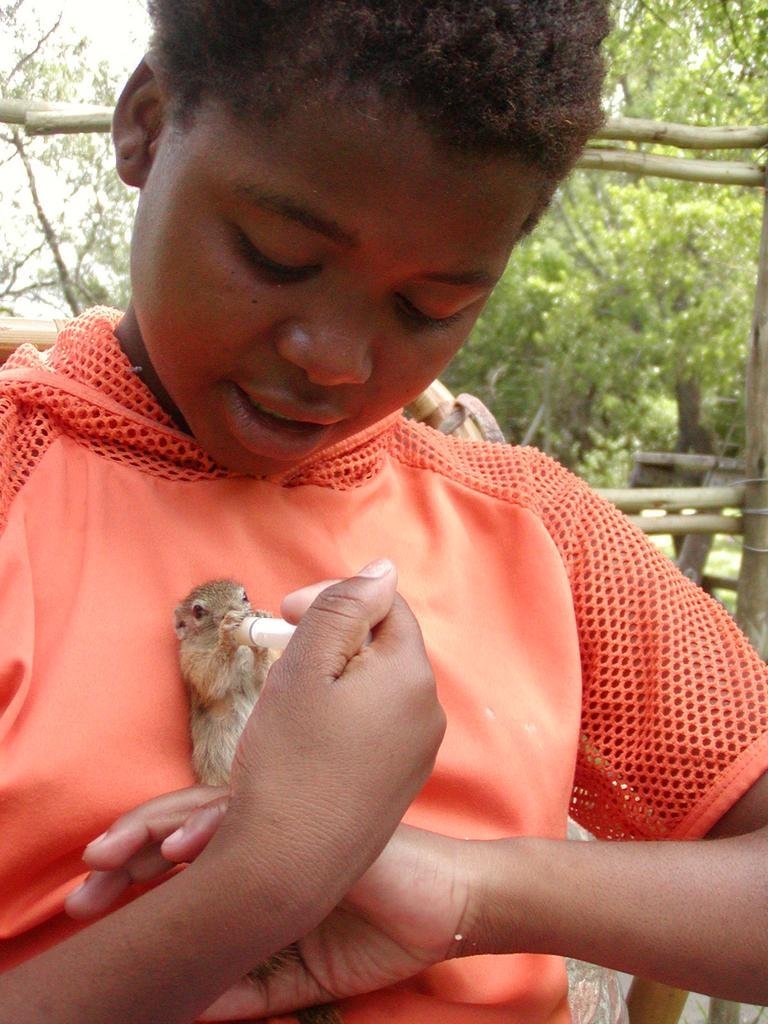 Over 220 South African youth educated about nature