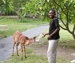 Child feeding Rusty our young Nyala