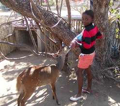 young girl feeding our bushbuck