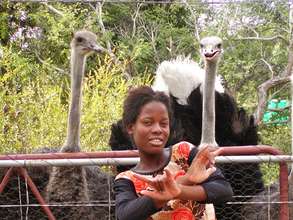 Florence enjoying company of the ostriches