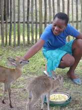 Cecilia loving orphaned baby duikers
