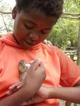 Sarah feeding the baby squirrel