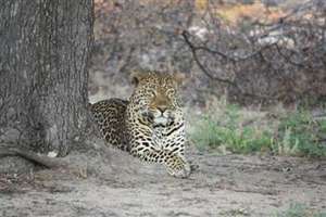 Shiloweni happy at Daktari