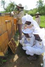 Children in beekeepers suits had great fun