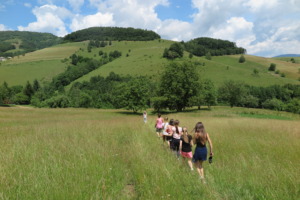 Introduction to life on farm