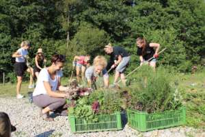 Building a small enviromental center