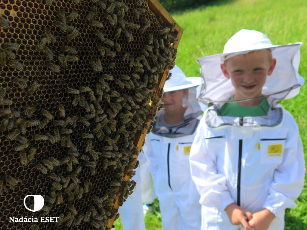 Help save bees and beekeeping in Slovakia