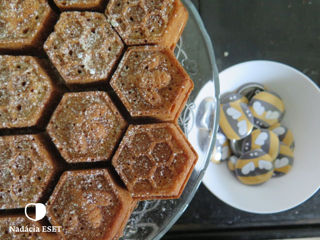 Help save bees and beekeeping in Slovakia