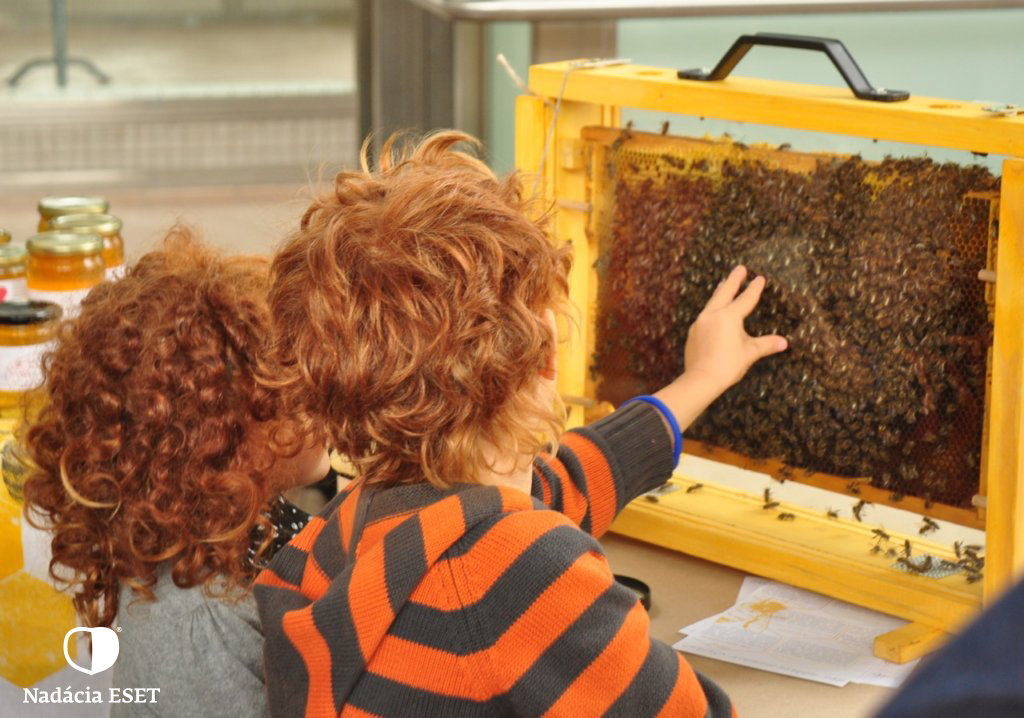Help save bees and beekeeping in Slovakia