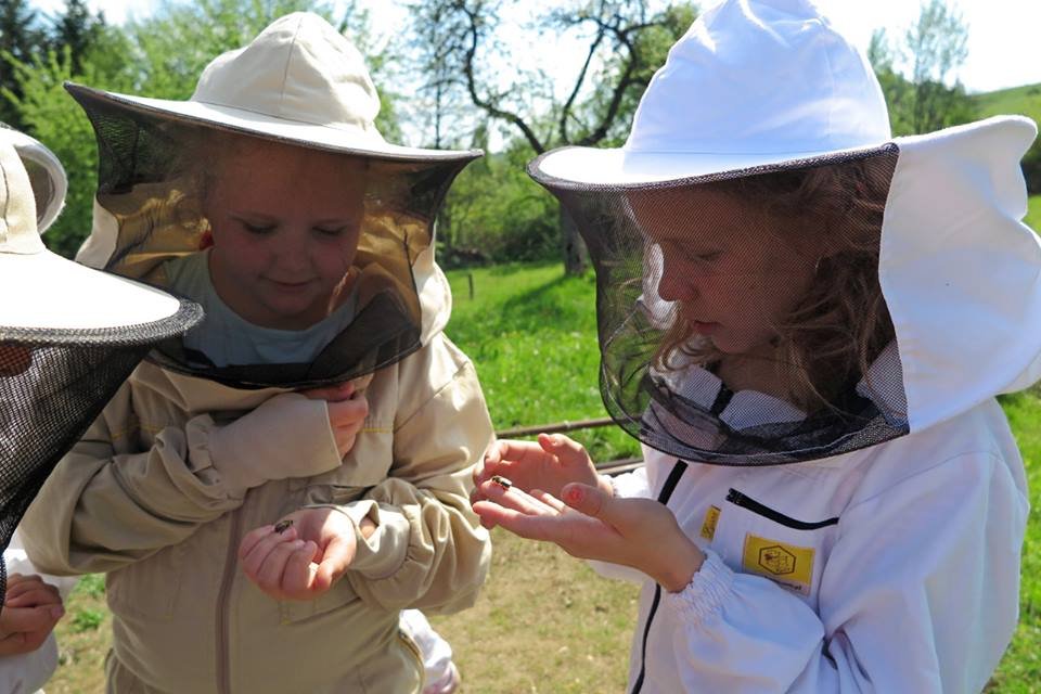 Help save bees and beekeeping in Slovakia