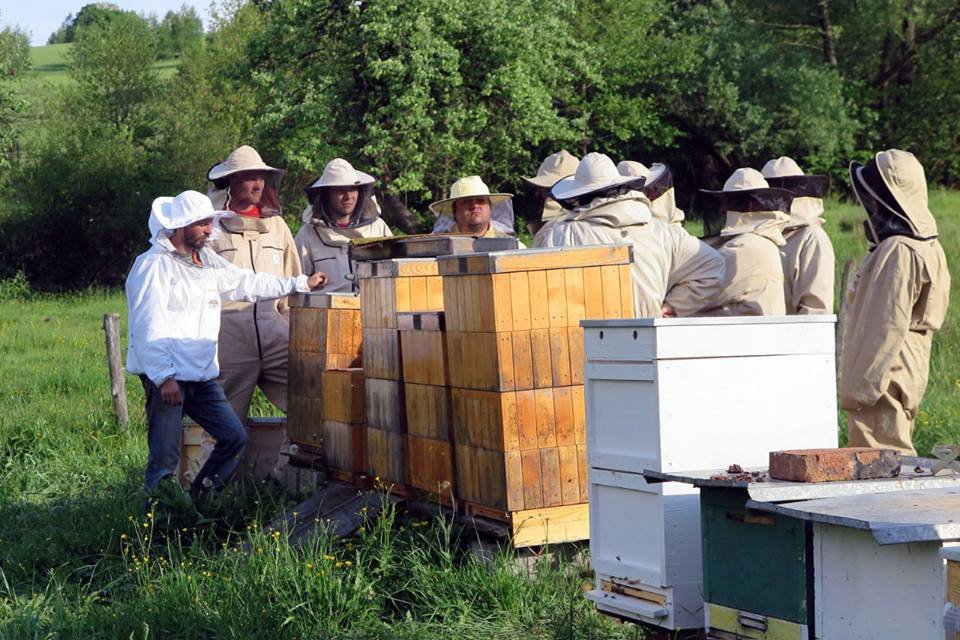 Help save bees and beekeeping in Slovakia