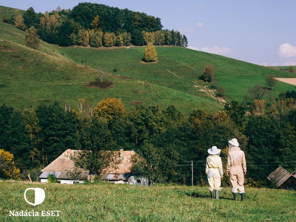 Help save bees and beekeeping in Slovakia