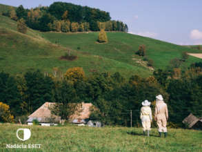Help save bees and beekeeping in Slovakia