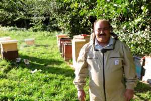 BeeSchool was a great succes