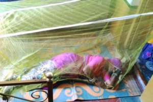 Sweet sleepiness in mosquito net
