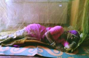 Sweet sleepiness in mosquito net