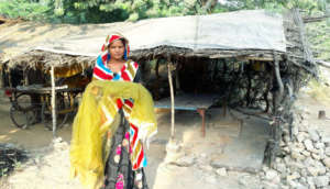 Kill Malaria, Save Human Life