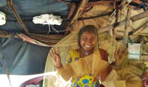 Fight with Malaria!!