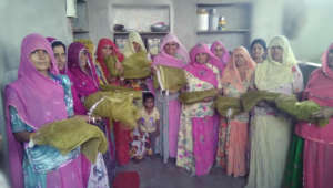 mosquito-net distribution