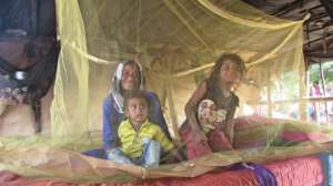 Fight with Malaria!!