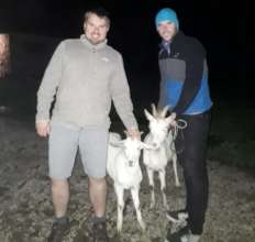 Anton with goats that helps families now