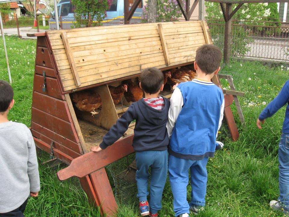 Hens and Seeds for 25 Needy Families in Slovakia