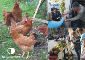 Hens and Seeds for 25 Needy Families in Slovakia