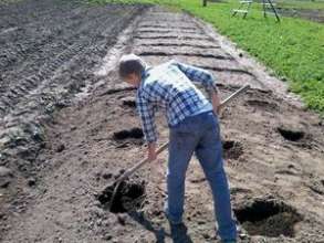 Preparing seed furrows and holes for vegetable