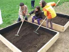 Everyone is working for the new vegetables