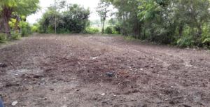 Photograph of 5000 sq. ft of land purchased