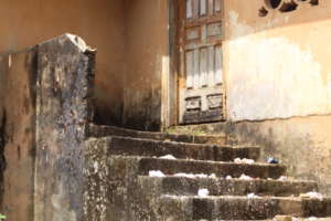 Building Damage