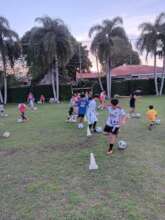 athletes training exercises