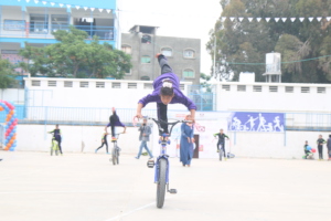 Bicycle tricks