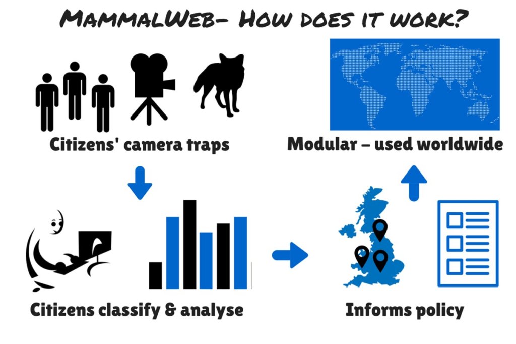 MammalWeb : Citizens Transforming Conservation