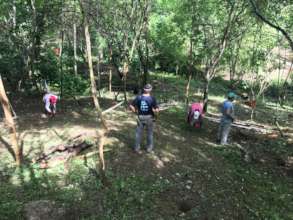 From May 2017 - Building the beehives