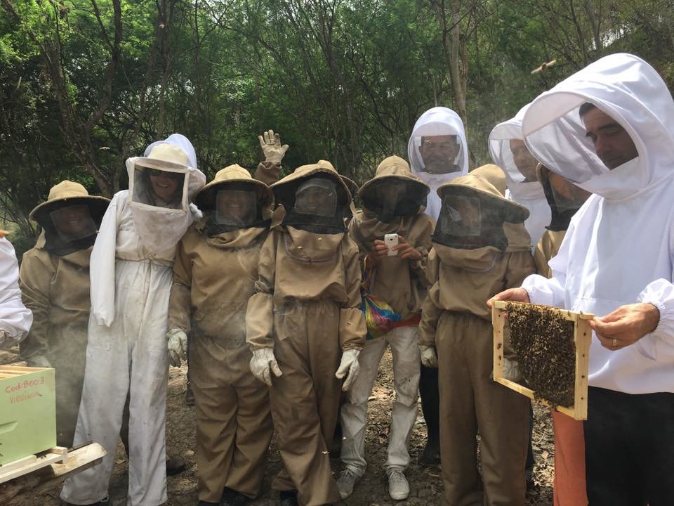 The Working Queens of Menos Pensado