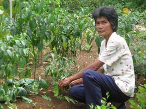 Gardening is a Source of Income for Women