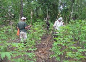 Contour Farming