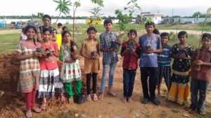 plantation1