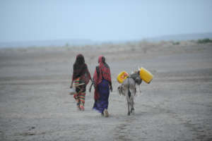 In the desert