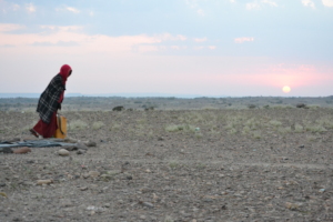 The Afar region is most infected by drougth