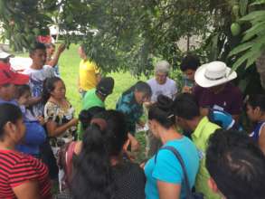 Learning about safe water with WAPIs