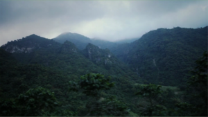 Alta Verapaz