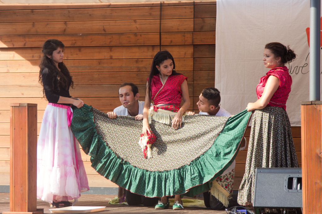 Provide Education for Talented Roma Children