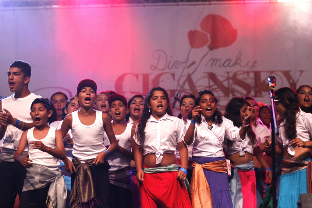 Provide Education for Talented Roma Children