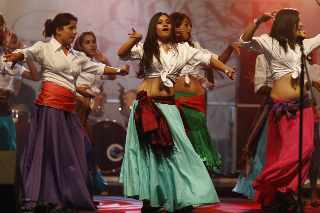 Provide Education for Talented Roma Children