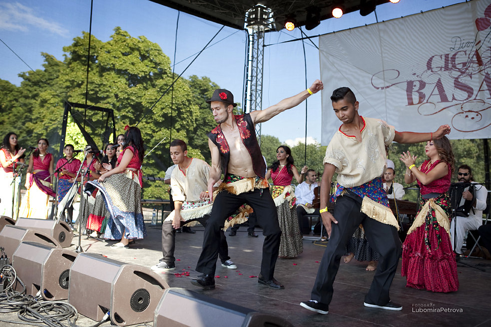 Provide Education for Talented Roma Children